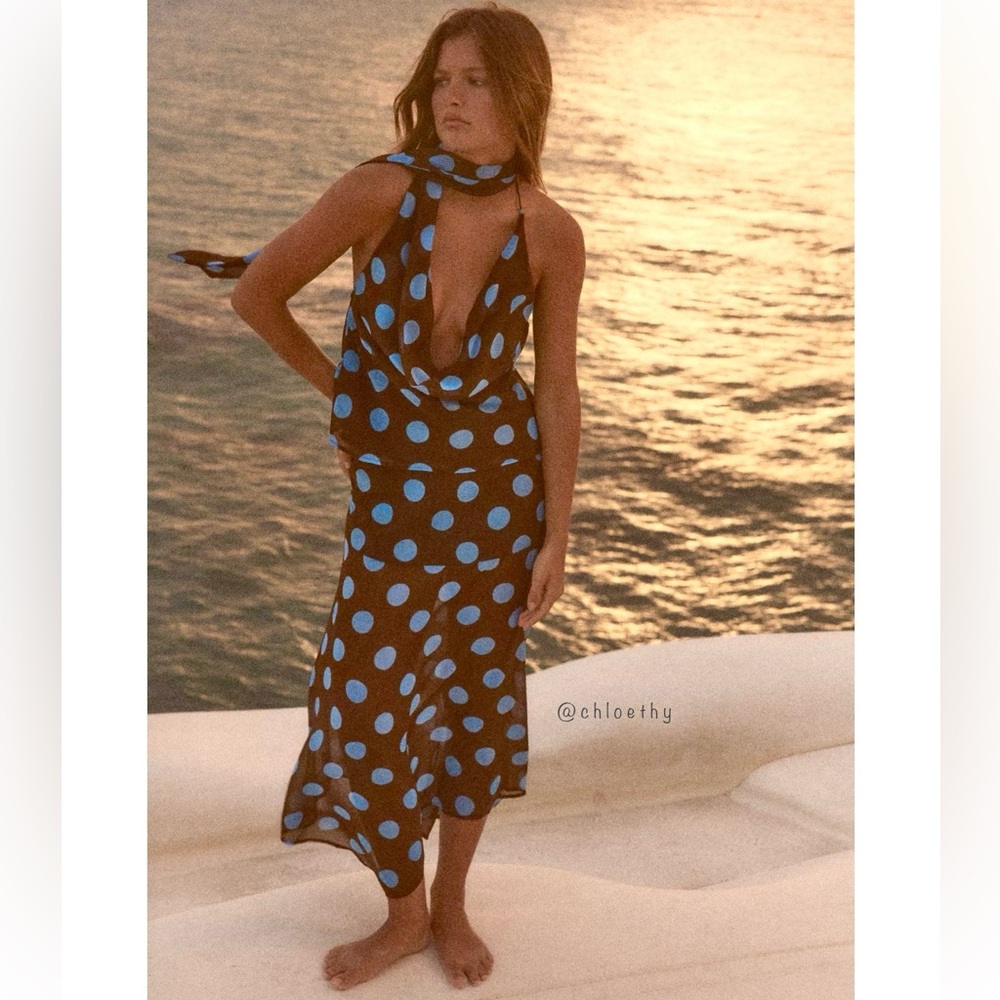 Zara Brown and Blue Polka Dot Skirt